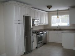 Manitou Wood Apartments - upgraded kitchen